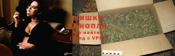PSILOCYBIN Белоозёрский