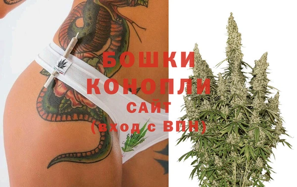 хмурый Белокуриха