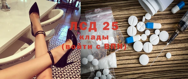 хмурый Белокуриха