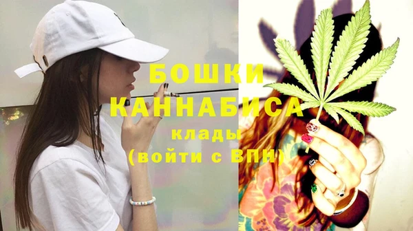 PSILOCYBIN Белоозёрский