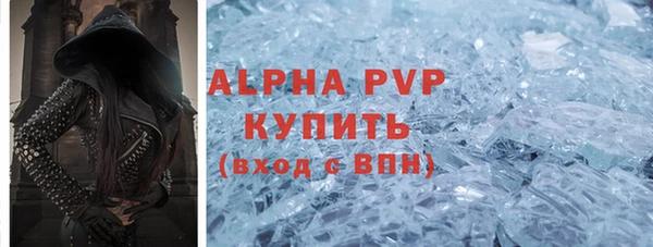 хмурый Белокуриха