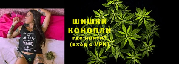 хмурый Белокуриха