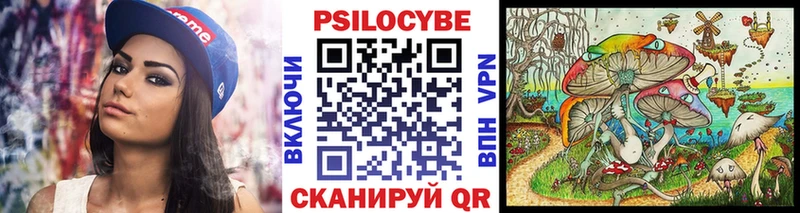 Псилоцибиновые грибы мицелий МЕГА ссылка Ершов